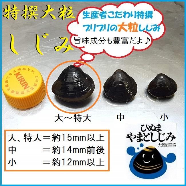 特撰大粒しじみ 茨城県産直送 日本三大しじみ 冷凍しじみ500g ひ
