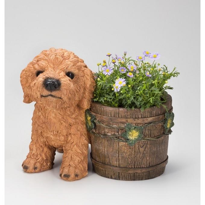 ｓ6163 ドックプランター トイプードル 犬 ドック 置物 オーナメント プランター 鉢植え 寄せ植え ガーデニング雑貨 母の日 6163 ガーデニング サンフイールド 通販 Yahoo ショッピング