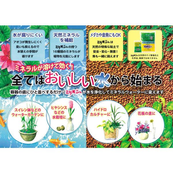 ブロックシリコ ミリオンa ケイ酸塩白土 100g入り 園芸ネット 通販 Yahoo ショッピング