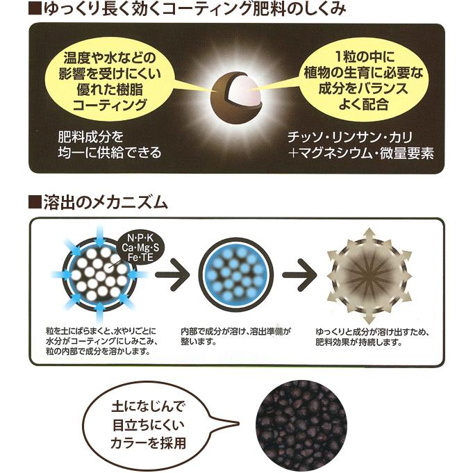 ネクスコート 野菜くだもの用500g入り 園芸ネット 通販 Yahoo ショッピング