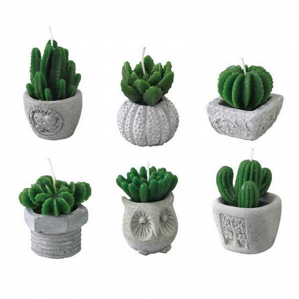 サボテンシトロネラキャンドル ツリー 1個 園芸ネット 通販 Yahoo ショッピング