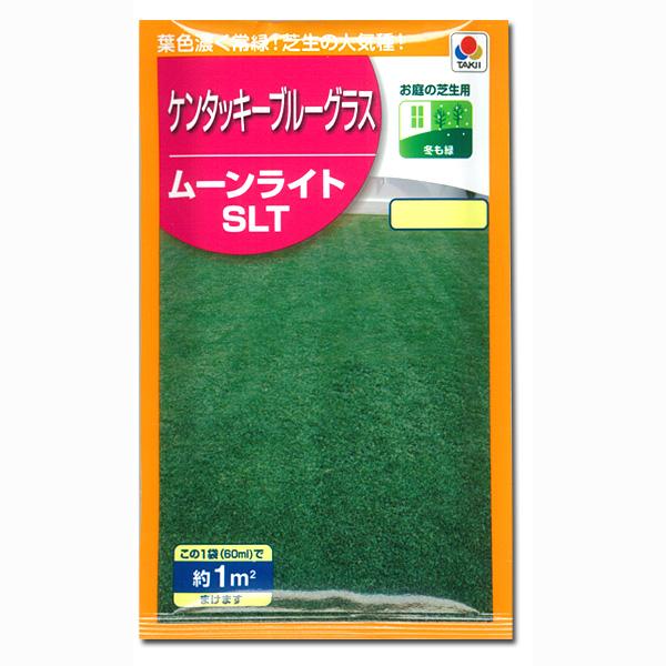芝の種 少量パッケージ 西洋芝ケンタッキーブルーグラス ムーンライト3袋セット 約3平米 1坪分
