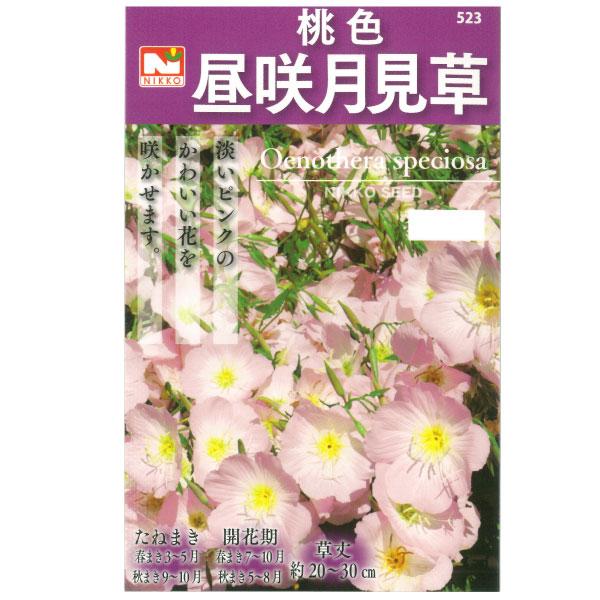 ツキミソウ 桃色昼咲月見草 花タネ : 園芸ネット - 通販 - Yahoo