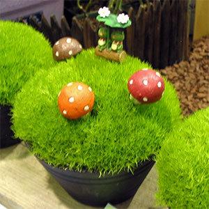 草花の苗 サギナ アイリッシュモス ライトグリーン3号ポット 2ポットセット 園芸ネット 通販 Yahoo ショッピング