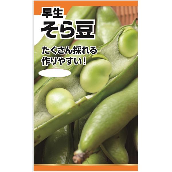 そら豆 早生 採りたてが美味しい たくさん収穫できる早生種のソラマメ 野菜タネ