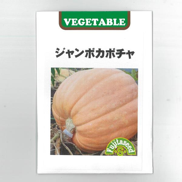 かぼちゃ ジャンボカボチャ ハロウィン飾りやコンテストに Salenew大人気 タネ