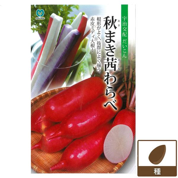 ダイコン（ミディ大根） 秋まき茜わらべ | 