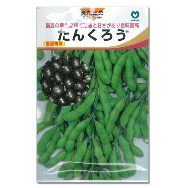 高級 いラインアップ えだまめ 枝豆 ：黒豆 たんくろう 野菜タネ hi-chadrive.com hi-chadrive.com