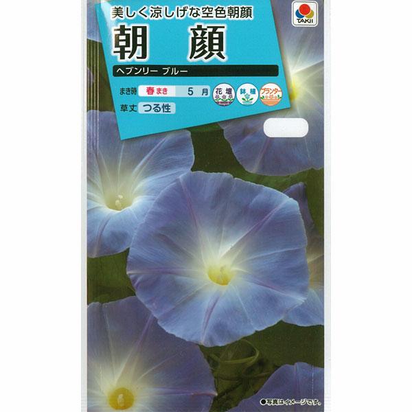 アサガオ イポメア ヘブンリーブルー タキイ 花タネ 春まき 5月 Enish E Designweb Jp