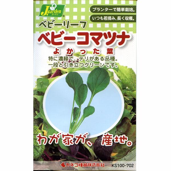 ベビーリーフの種 ベビーコマツナ よかった菜 周年まき可能 タネ | 