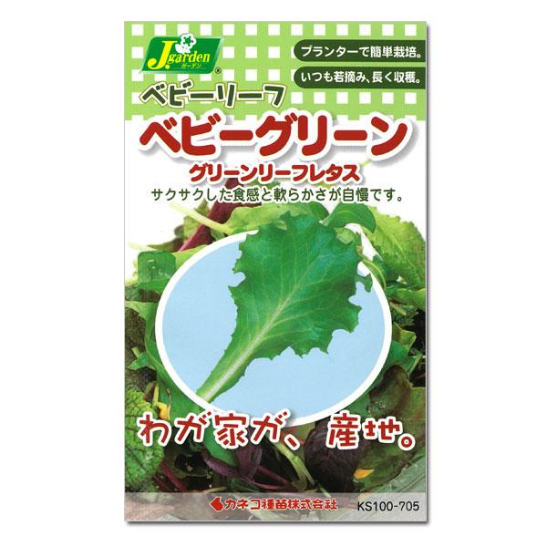 ベビーリーフの種 ベビーグリーン グリーンリーフレタス（グリーンスパン） タネ | 