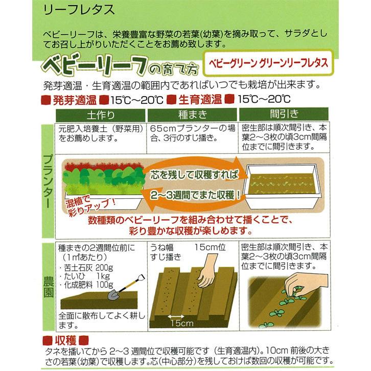 ベビーリーフの種 ベビーグリーン グリーンリーフレタス タネ 園芸ネット 通販 Yahoo ショッピング