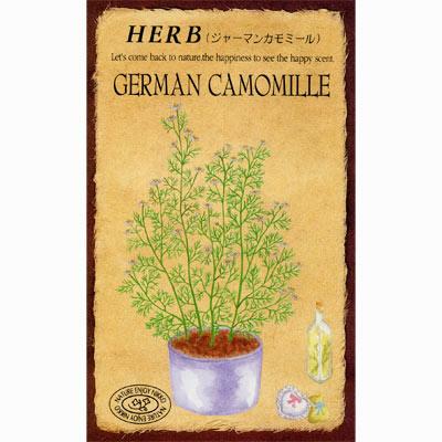 カモミール ジャーマンカモミールの種 種 ハーブのタネ 4〜9月開花