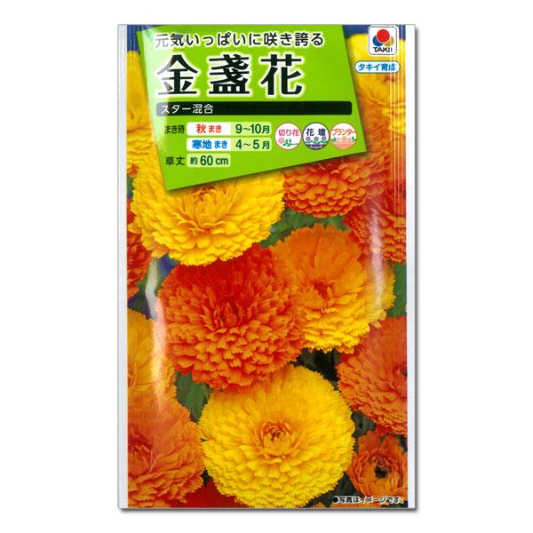 69円 超安い 金盞花 キンセンカ スター 混合 秋 春まき 草丈60cm 切花に タキイ 花タネ