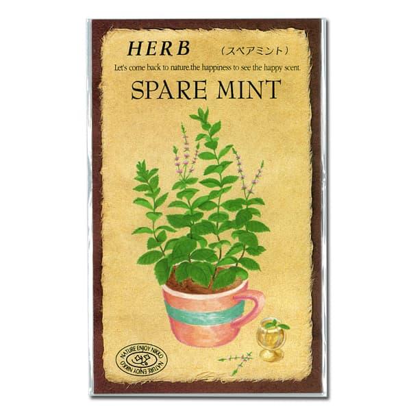 ミント スペアミントの種 ハーブのタネ | 