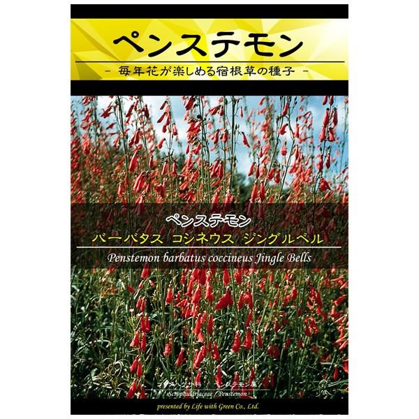 最大55 オフ ペンステモン ジングルベル 花タネ 3 5 9 10月まき