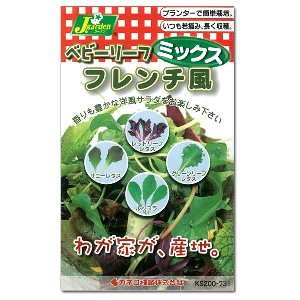 有効期限26年10月 ベビーリーフの種ミックス フレンチ風 周年まき可能 タネ | 