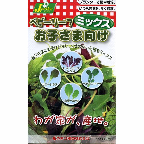 有効期限26年10月 ベビーリーフの種ミックス お子様向け 食べやすいマイルドな風味・食育にもおすすめ 周年まき可能 タネ | 