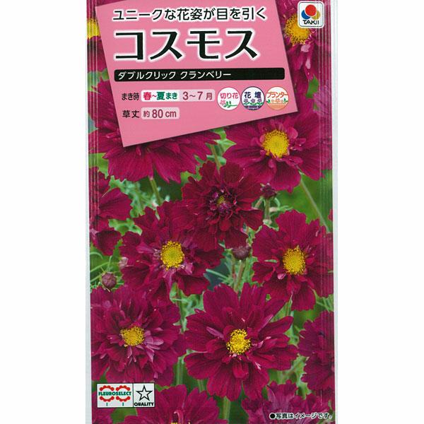 コスモス ダブルクリック バーゲンセール クランベリーの種 タキイ 花タネ