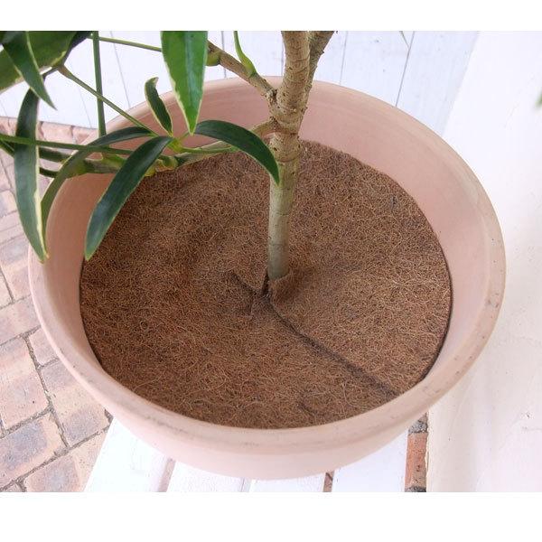 ヤシ繊維円盤マット直径33cm10枚セット 園芸ネット 通販 Yahoo ショッピング