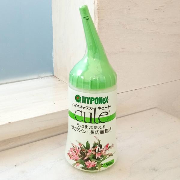 液肥 ハイポネックス キュート サボテン 多肉植物用150ml入り そのまま使える液肥 園芸ネット 通販 Yahoo ショッピング