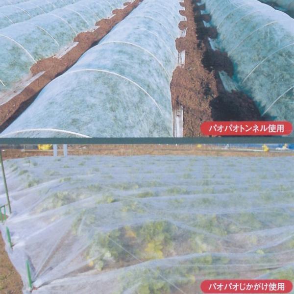 不織布 保温資材 パオパオ90 べたがけ 長さ50m×幅150cm : 園芸商人
