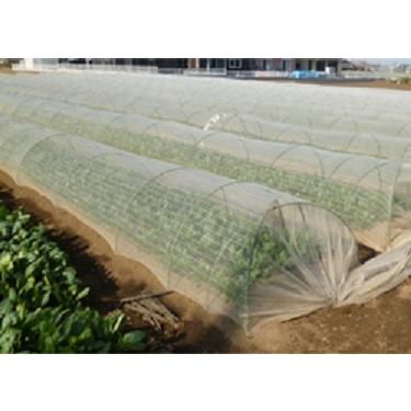 農業資材　防虫ネットｻﾝｼｬｲﾝ 直送品 防虫ネット サンシャイン S-2000 1mm目x幅180cm×長さ100m