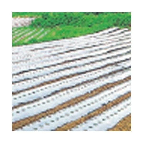 農業用マルチシート シルバーマルチSS 長さ200m×厚さ0.02mm×幅150cm
