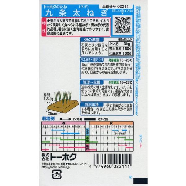 ネギの種 九条太ねぎ 7ml 品番2211 種子 たね : 園芸商人 - 通販
