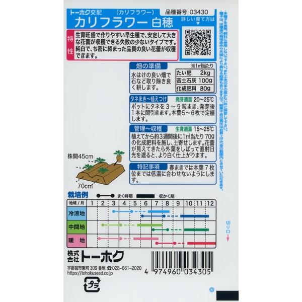 カリフラワー様　専売 カリフラワーの種 F1 カリフラワー 白穂 1ml 品番3430 種子 たね