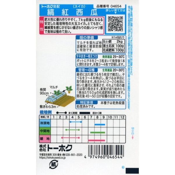 スイカの種 F1 縞紅西瓜 1ml 品番4654 種子 たね : 園芸商人 - 通販