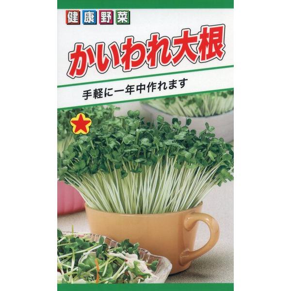 かいわれ大根様 かいわれ大根 - すぷらうとくらぶ