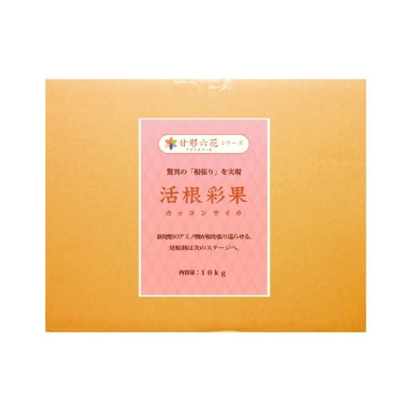 活根彩果(カッコンサイカ)　10kg