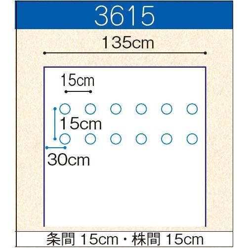 農業用マルチシート　オリジナル白黒穴あきマルチ　厚さ0.021mm　幅135cm　長さ200m　45mm穴　並列　規格3615　3本セット