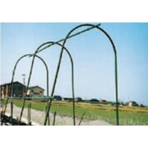 セキスイ 菜園アーチ支柱 径16mm 間口42cm 高さ180cm 10本セット