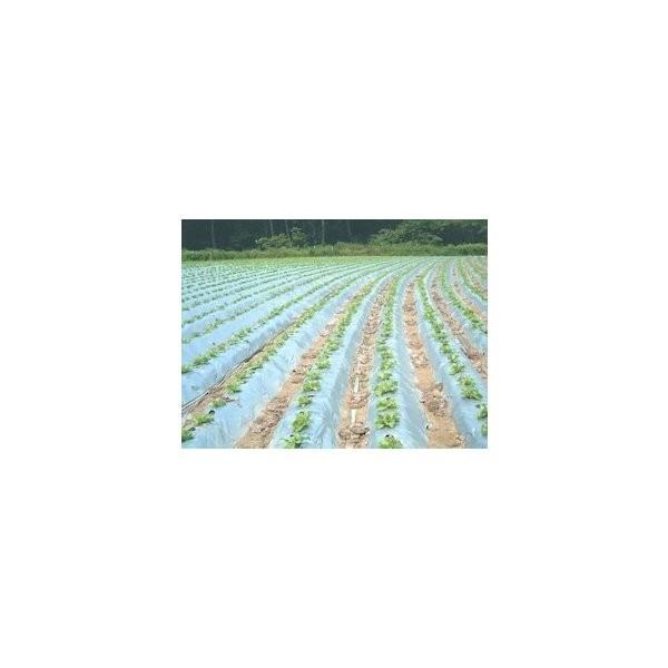 オリジナル銀黒マルチ（無孔） 長さ200m×厚さ0.023mm×幅120cm 3本 