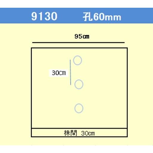 農業用マルチシート　オリジナル白黒穴あきマルチ　厚さ0.021mm　規格9130　5本セット　幅95cm×長さ200m×孔60mm