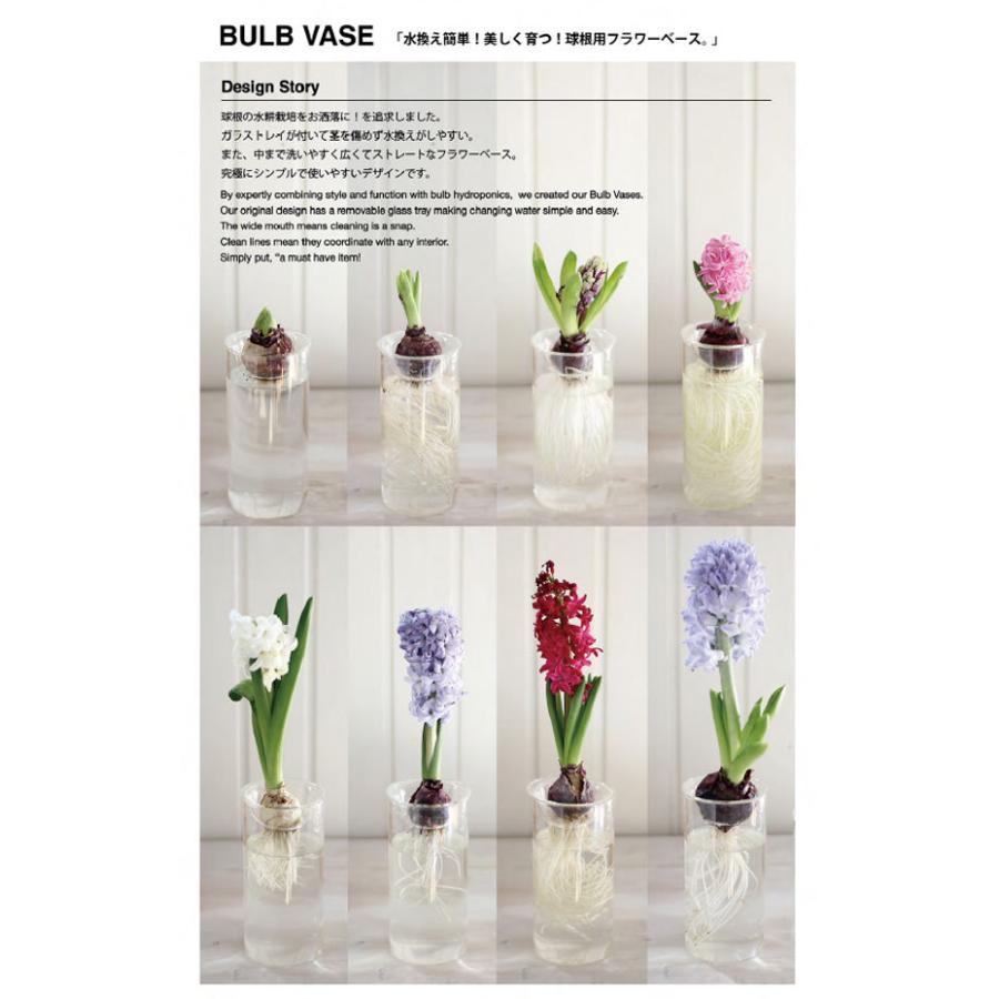 球根 20年9月中下旬予約 ヒヤシンスの水栽培セット デルフトブルー 青 とガラスポットロング 133774 園芸ネット 予約専用サイト 通販 Yahoo ショッピング