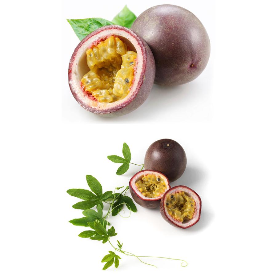 果樹の苗 21年4月中下旬予約 どっさりパッションフルーツ 果物トケイソウ 3 5号ポット 生育旺盛で花つき 実付きがよい品種 園芸ネット 予約専用サイト 通販 Yahoo ショッピング