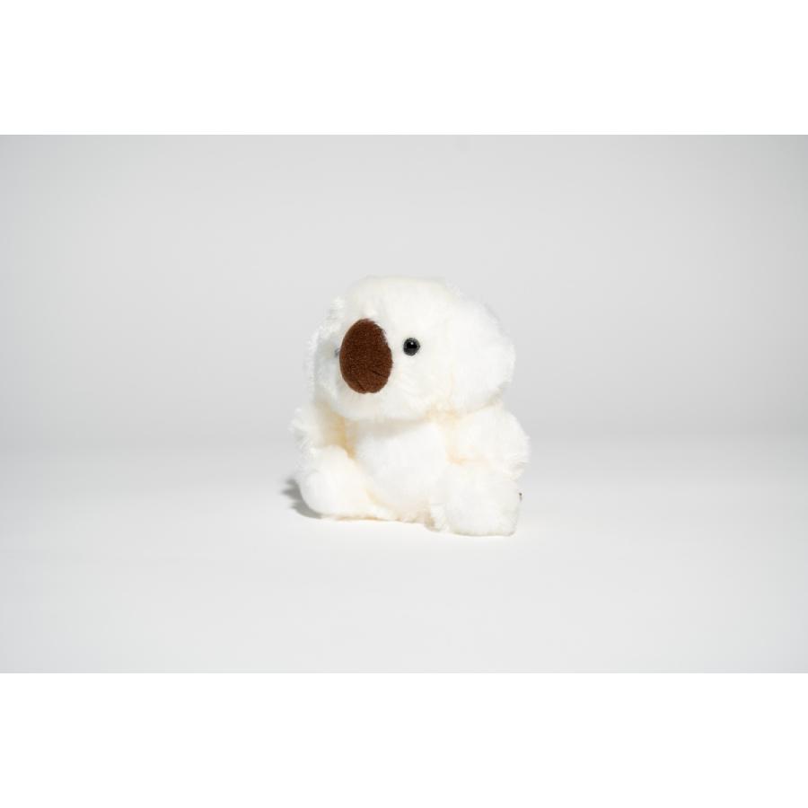 コアラ マスコット イングランドの丘 かわいい 人気 Koala Mascot Englandhill イングランドの丘 Yahoo 店 通販 Yahoo ショッピング