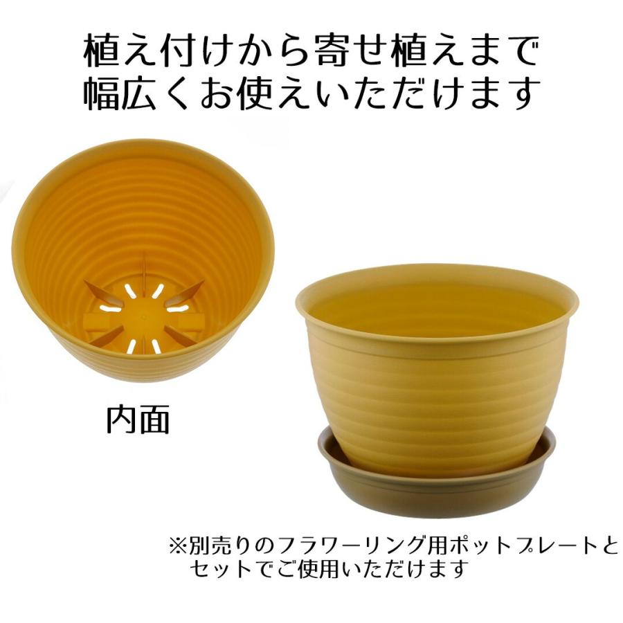 フラワーリングポット 8号 ベストコ | 受け皿 鉢皿 受皿 プレート 鉢