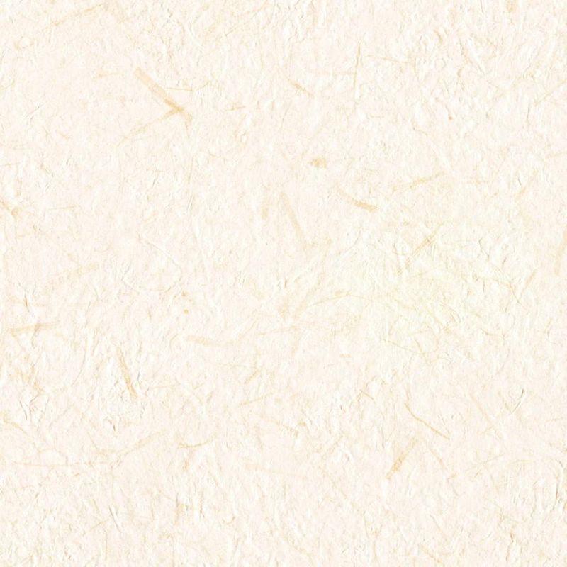 独特の上品 リリカラ 壁紙32m 和 和紙調 ベージュ Japan Lw 2653 壁紙 Www Napsa Co Zm