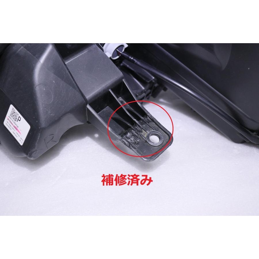 ベイビーリーフ Florida Native Plant Society (FNPS)