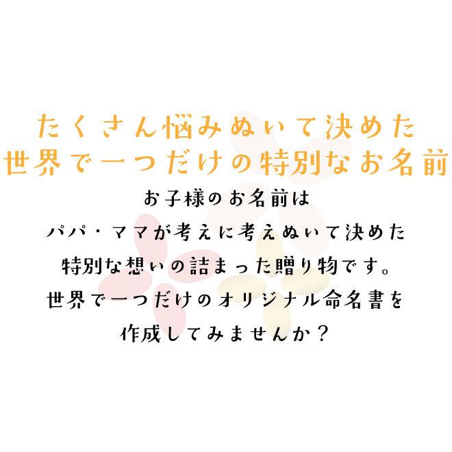 命名書 名入れ 代筆 命名紙 手書き ひな祭り こどもの日 オーダーメイド おしゃれ 赤ちゃん 命名 用紙 台紙 お七夜 ディズニー｜enishiya0212｜02