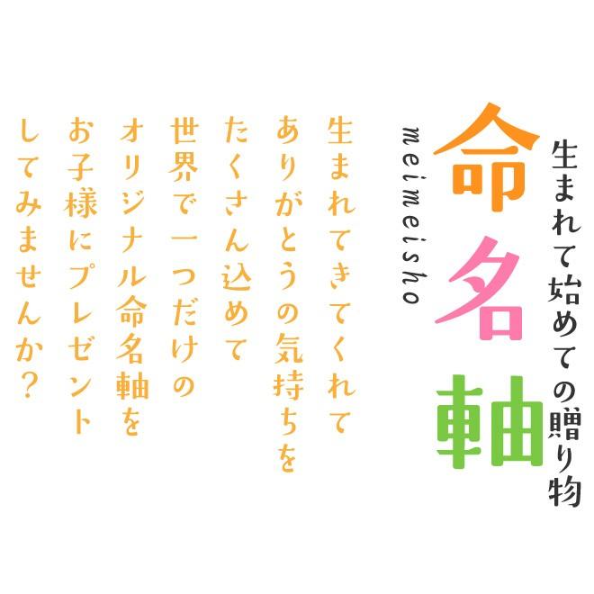 訳あり 命名書 掛け軸 代筆 命名紙 手書き オーダーメイド おしゃれ 赤ちゃん 命名 ひな祭り こどもの日 用紙 台紙 プレゼント 出産祝い お七夜 掛軸
