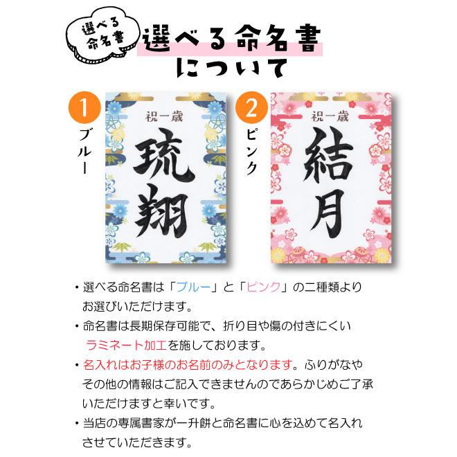 一升餅 地域限定送料無料 命名書付 1歳お祝い 小分け 名入れ セット 一生餅 背負い餅 踏み餅 1歳 誕生日 プレゼント 祝い餅 誕生餅|enishiya0212|05