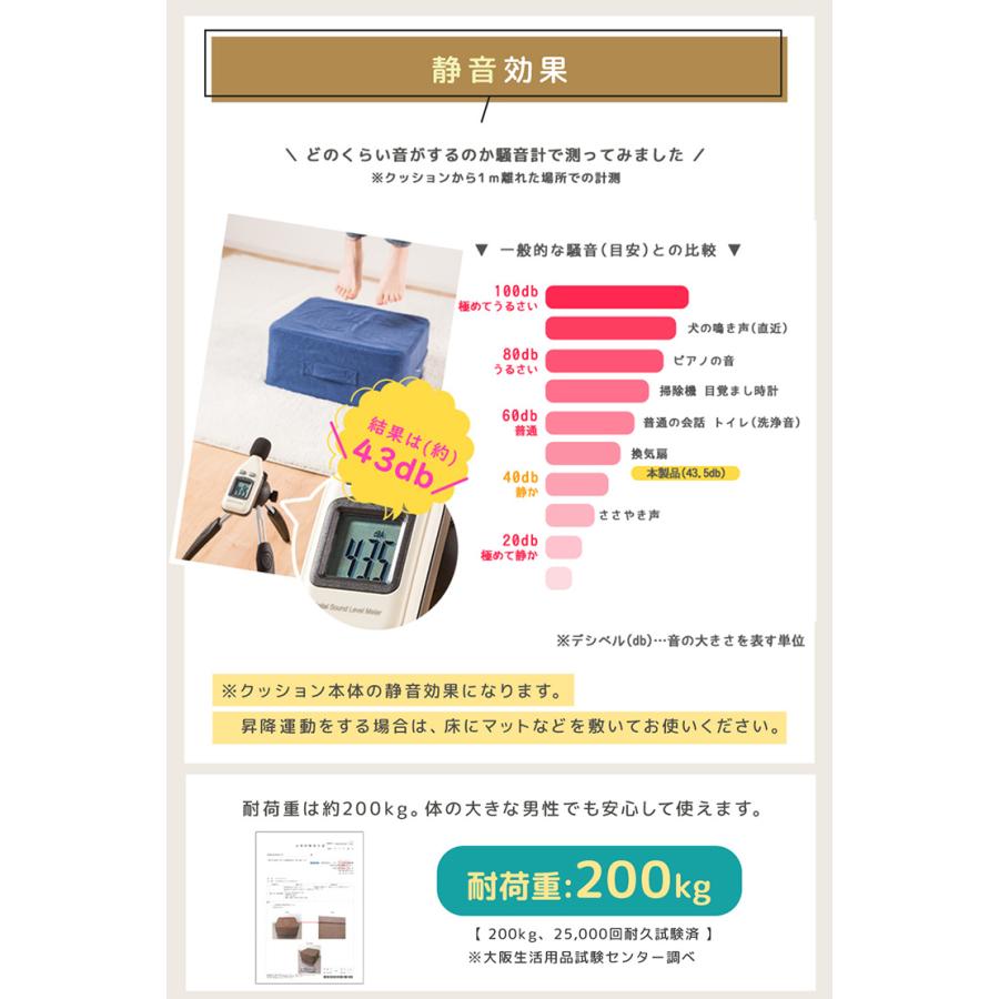 踏み台昇降 ステップ台 エクササイズ 運動 省スペース 45×45cm