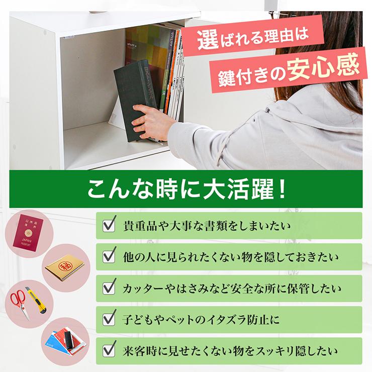 収納ボックス 収納棚 鍵付き 扉付き 2段ボックス ラック 鍵付き扉 収納