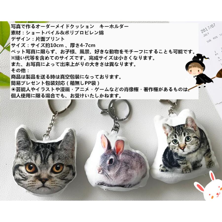 写真入れ オーダーメイド ギフ 包装 ペットメモリアルグッズ クッション 記念ギフト キーホルダー