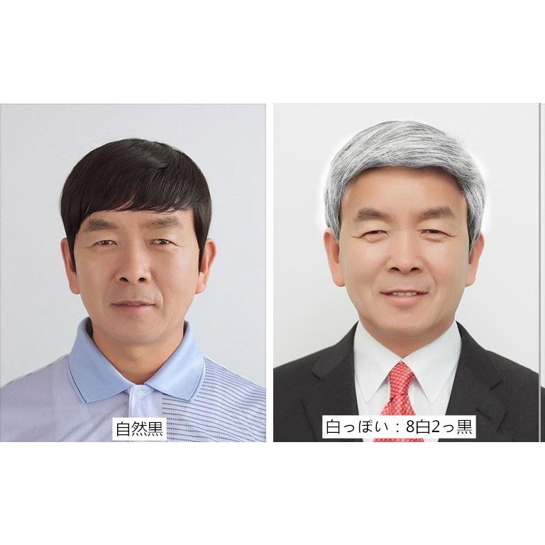 フルーウィッグ 男性用ウィッグ かつら ショート 短髪 白髪混ぜ 舞台用ウイッグ ストレート ゆるふわ 自然 原宿 耐熱 白っぽい Ck 0012 Enjoy Life 通販 Yahoo ショッピング